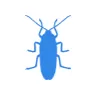 Уничтожение тараканов в Бронницах